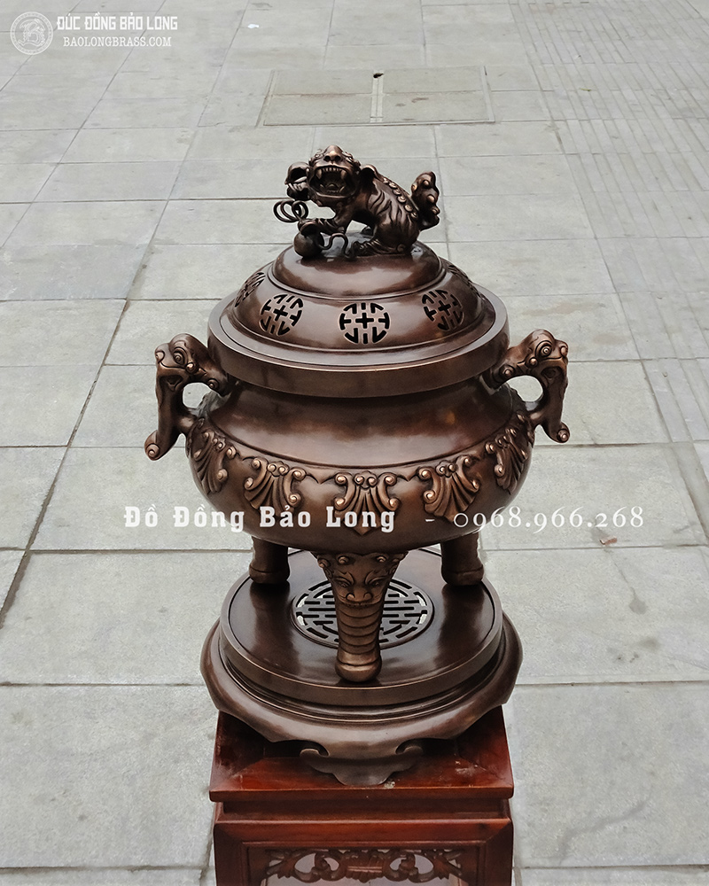 đỉnh 10 sòi bằng đồng