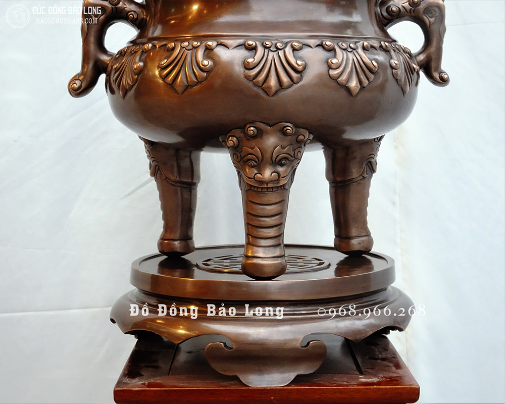 đỉnh 10 sòi bằng đồng