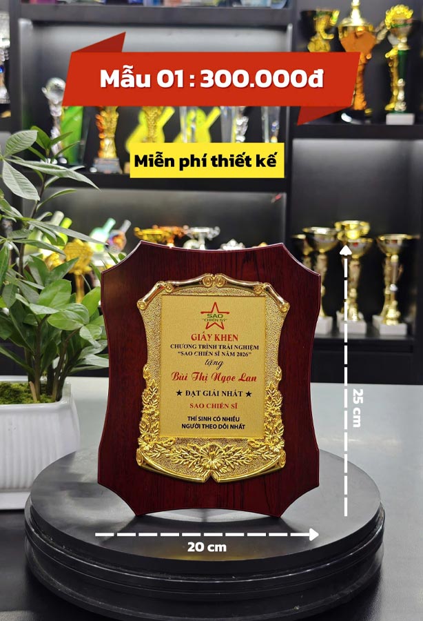 Bảng Vinh Danh VD01