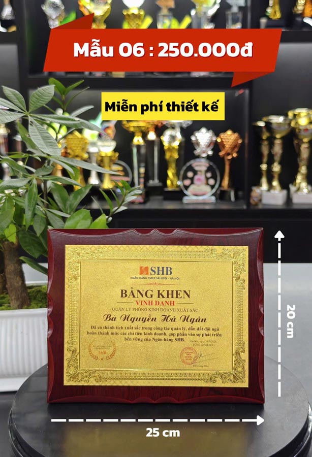 Bảng Vinh Danh VD06