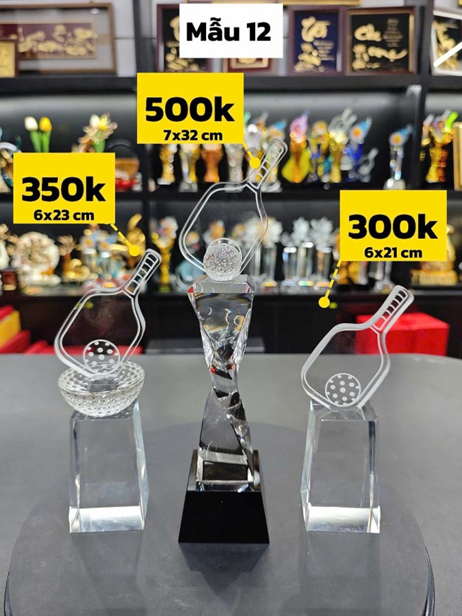 Bộ Kỷ Niệm Chương Pha Lê Pickleball