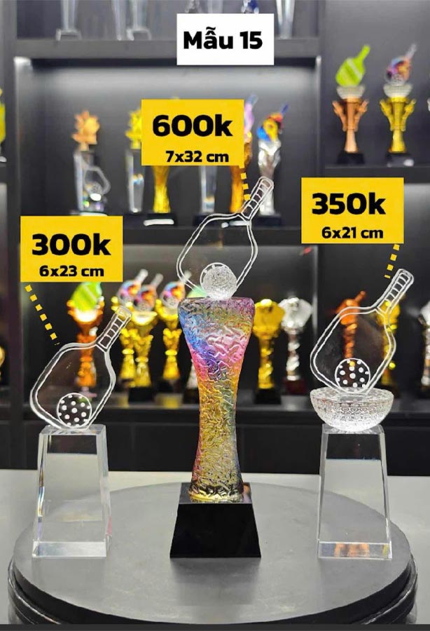 Bộ Cúp, Kỷ Niệm Chương Pha Lê Pickleball M15