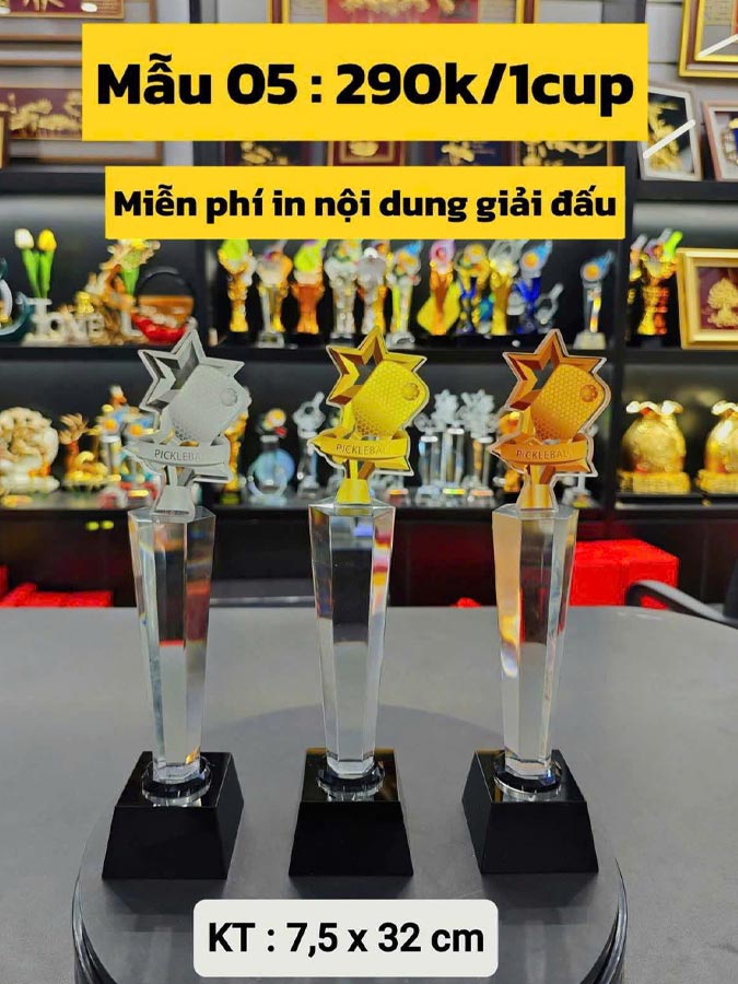 Cúp pickleball M05