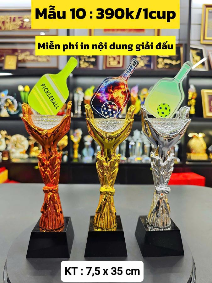 Cúp pickleball M10