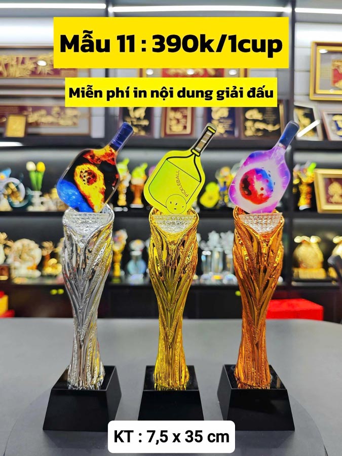 Cúp pickleball M11
