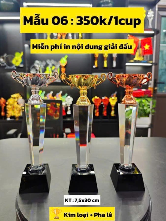 Cúp thể thao pha lê M06