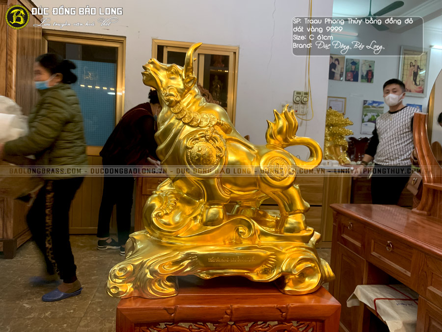 tượng trâu phong thủy đồng đỏ dát vàng 9999 cao 61cm