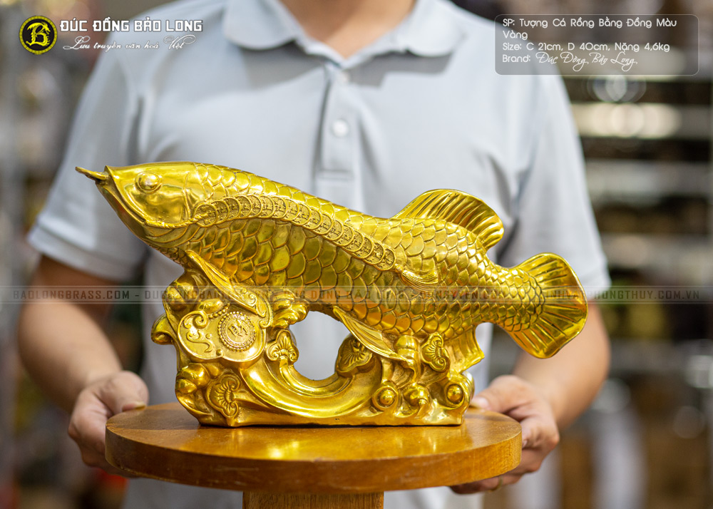 Tượng Cá Rồng Bằng Đồng Dài 40cm Màu Vàng