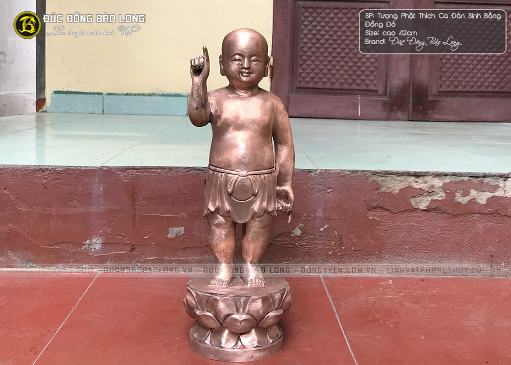 Tượng Phật Thích Ca Đản Sinh bằng đồng đỏ cao 42cm