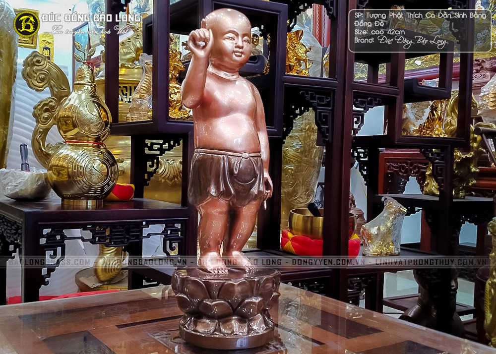 Tượng Phật Thích Ca Đản Sinh Bằng Đồng Đỏ Cao 42cm